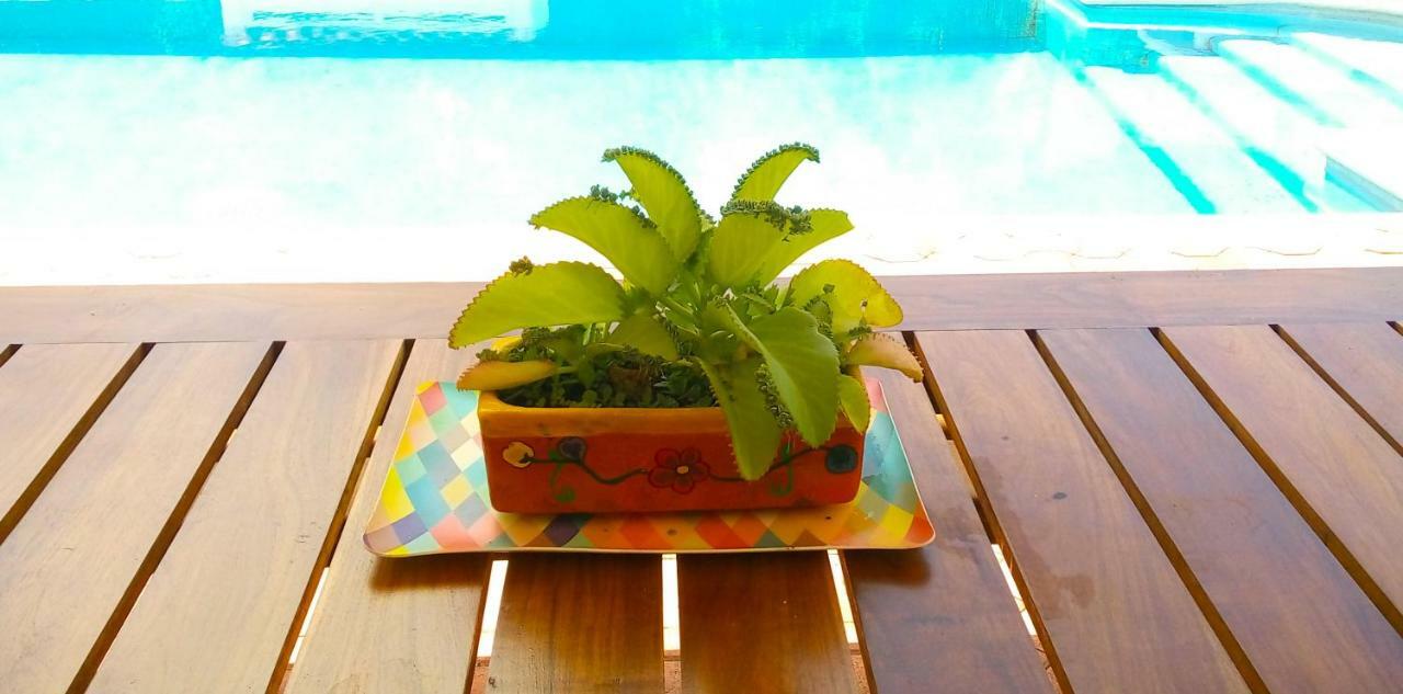 Casas Luna Y Sol - Casa Sol Valladolid  Ngoại thất bức ảnh